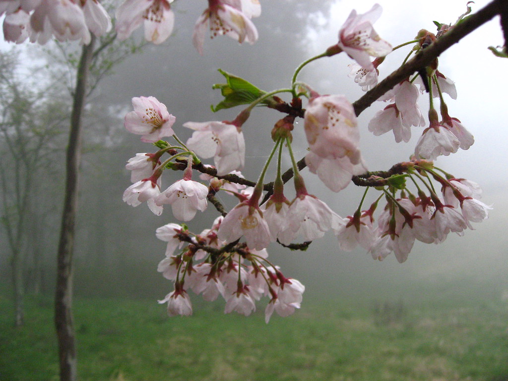 Hakone: A Slow Itinerary for Hakone, Japan