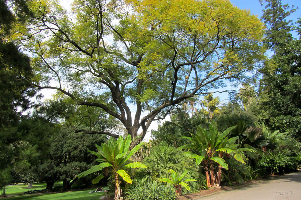 Adelaide: A Slow Itinerary for Adelaide, Australia
