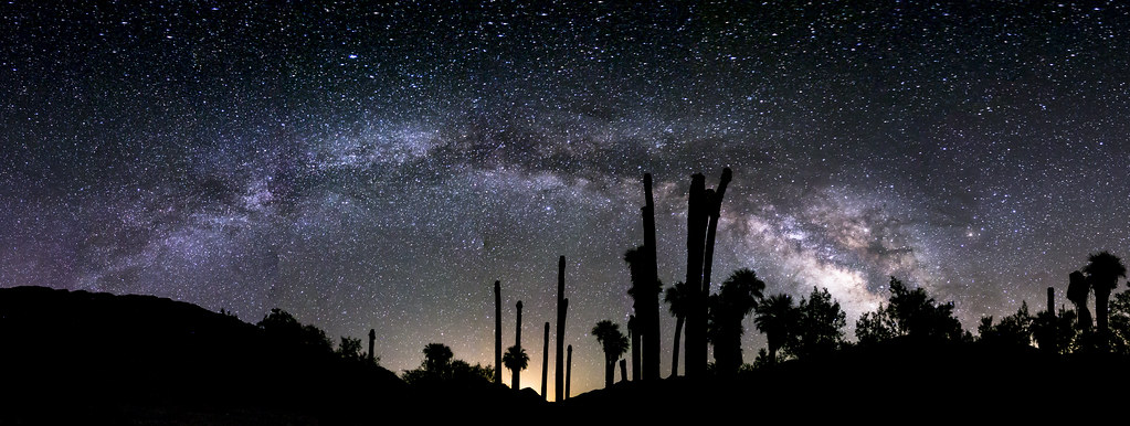 Palm Springs: A Slow Itinerary for Palm Springs, United States