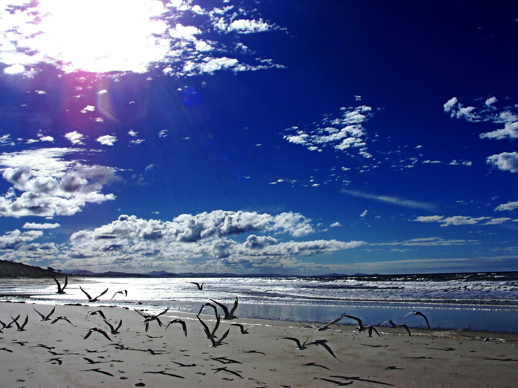 Byron Bay: A Slow Itinerary for Byron Bay, Australia