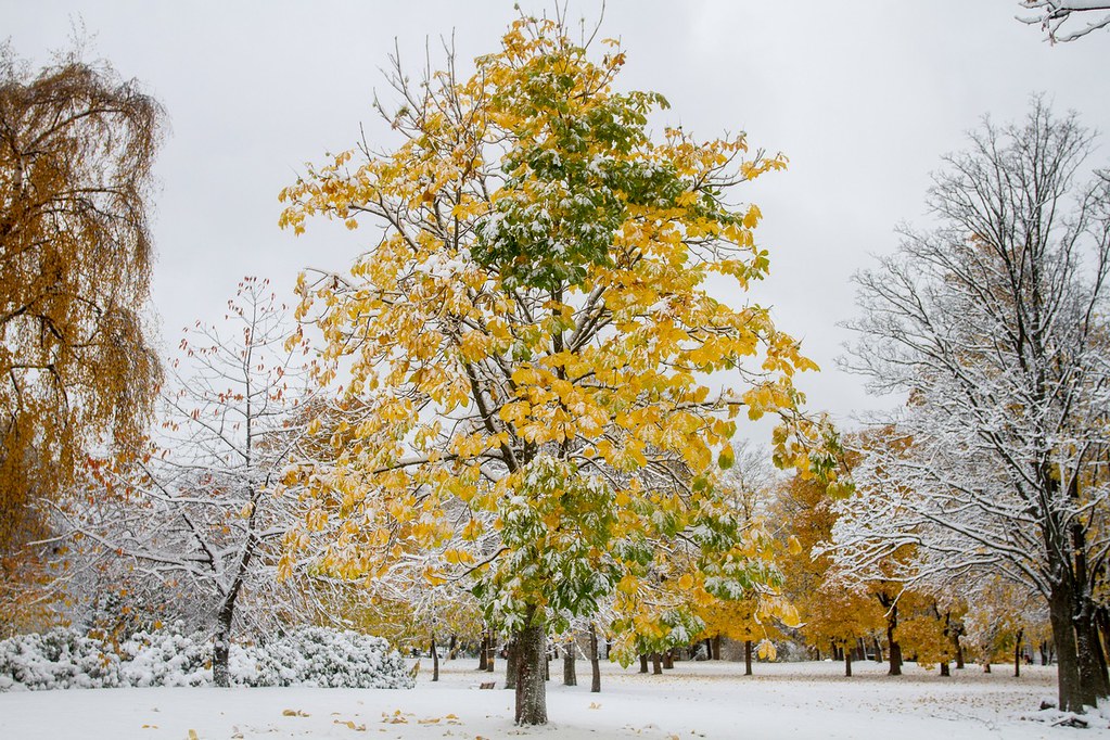 Trondheim: A Slow Itinerary for Trondheim, Norway