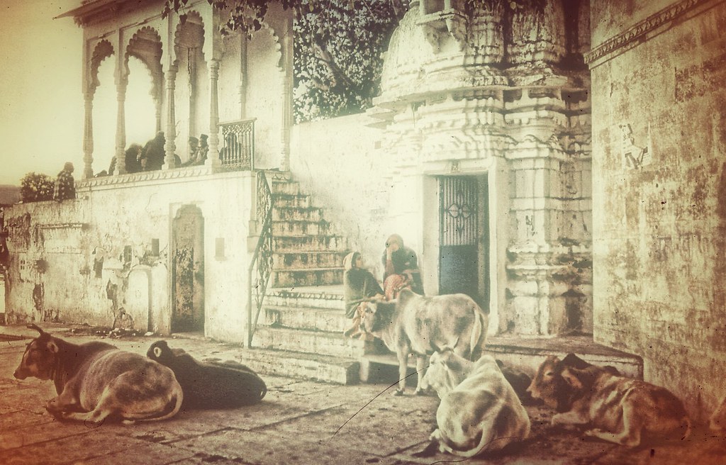 Udaipur: A Slow Itinerary for Udaipur, India