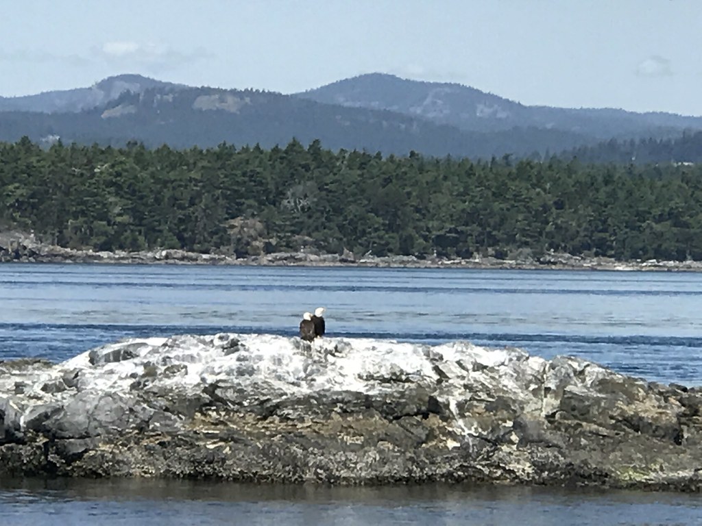 Victoria: A Slow Itinerary for Victoria, Canada