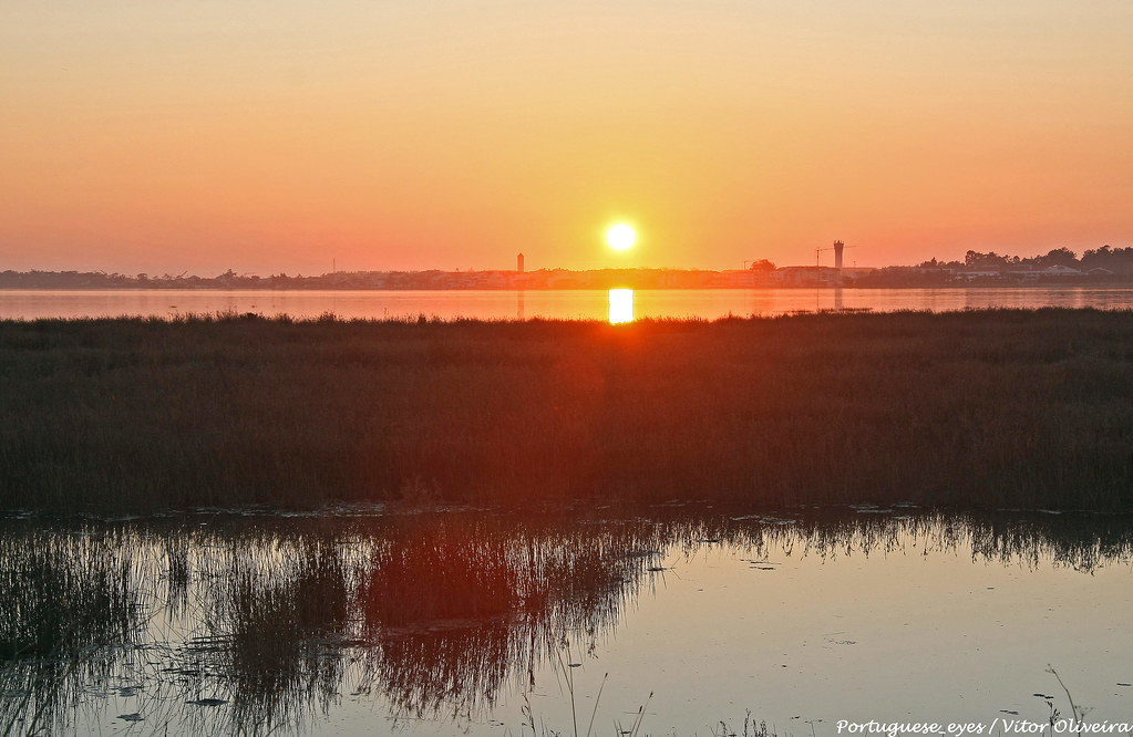 Aveiro: A Slow Itinerary for Aveiro, Portugal