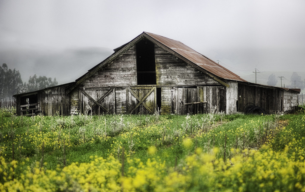 Napa Valley: A Slow Itinerary for Napa, United States