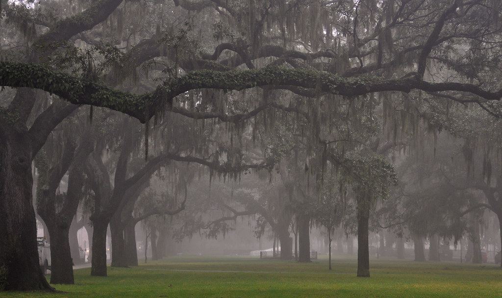 Savannah: A Slow Itinerary for Savannah, United States