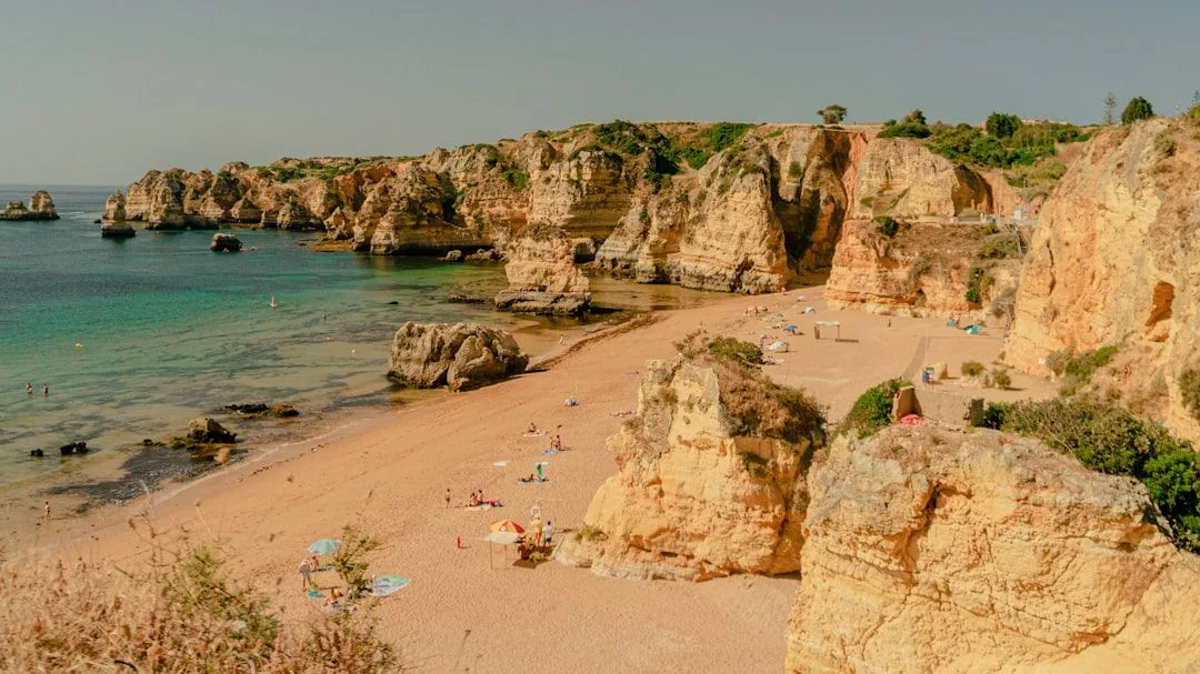 Curated Spain Guide